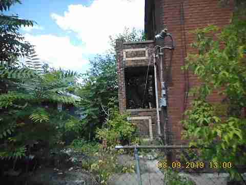 15779 Linden (5)_m.jpg